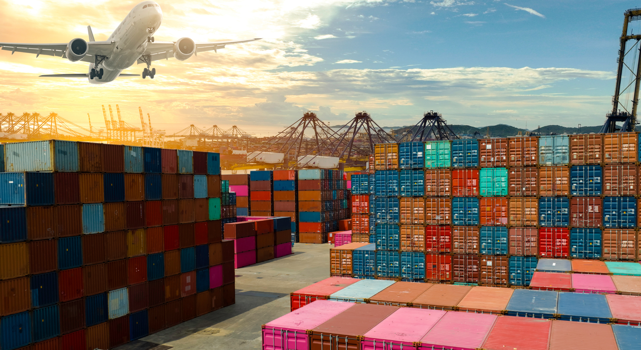 About Flying Penguin